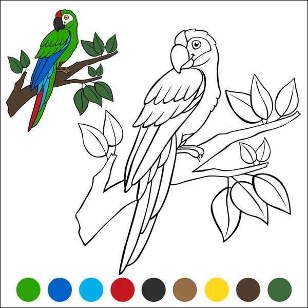 Dibujo Para Colorear Pájaros Lindo Loro Feliz Guacamayo Verde Sienta — Archivo Imágenes Vectoriales