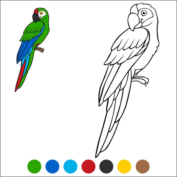 Kolorowanki Strony Ptaków Słodkie Szczęśliwy Papuga Zielony Macaw Sita Uśmiechy — Wektor stockowy
