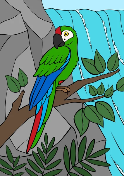 Pájaros Dibujos Animados Guacamayo Verde Loro Sienta Rama Del Árbol — Vector de stock