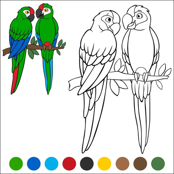 Sayfa Kuşlarını Boyamak Bir Çift Şirin Papağan Yeşil Papağan Oturur — Stok Vektör