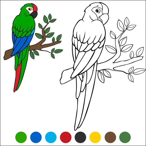 Kolorowanki Strony Ptaków Cute Papuga Zielona Macaw Siedzi Gałęzi Drzewa — Wektor stockowy