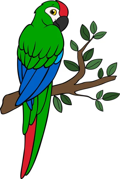 Pájaros Dibujos Animados Guacamayo Verde Loro Sienta Rama Del Árbol Ilustración de stock