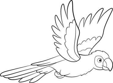 Boyama sayfası. Sevimli mutlu papağan kırmızı papağan uçar ve gülümser..