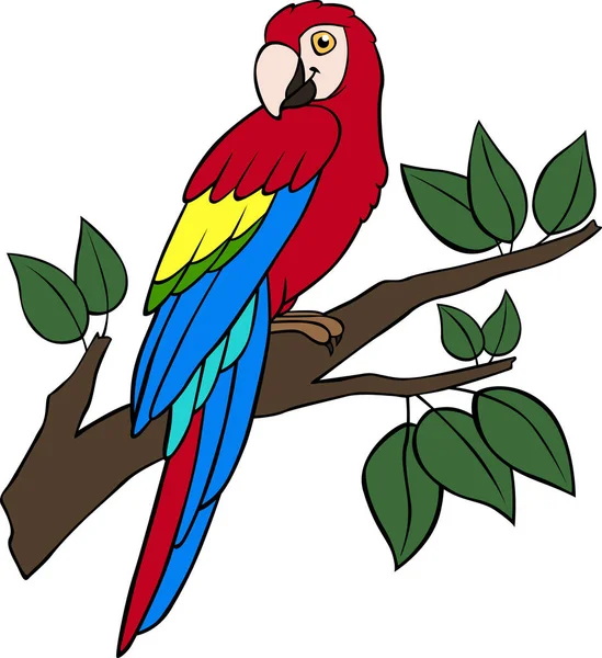 Cartoon Birds Parrot Red Macaw Sits Tree Branch Smiles — Stock Vector