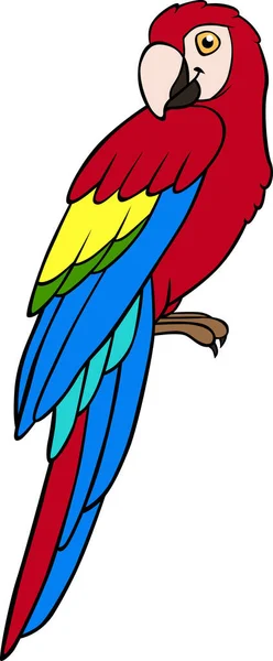 Zeichentrickvögel Papagei Roter Ara Sitzt Und Lächelt Ist Glücklich — Stockvektor
