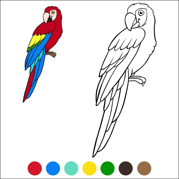 Dibujo Para Colorear Pájaros Lindo Loro Feliz Guacamayo Rojo Sienta — Archivo Imágenes Vectoriales
