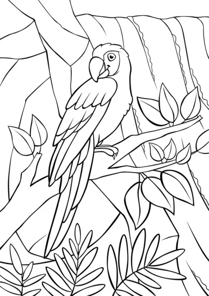 Coloring Page Cute Parrot Red Macaw Sits Tree Branch Smiles — Stock Vector