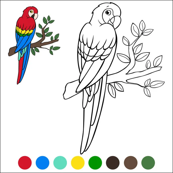 Dibujo Para Colorear Pájaros Lindo Loro Feliz Guacamayo Rojo Sienta — Vector de stock