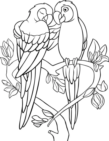 Coloring Page Two Cute Parrots Red Macaw Sits Three Branch — Stock Vector
