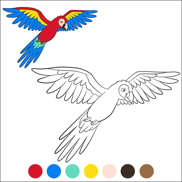 Dibujo Para Colorear Pájaros Lindo Loro Feliz Guacamayo Rojo Moscas Vector de stock
