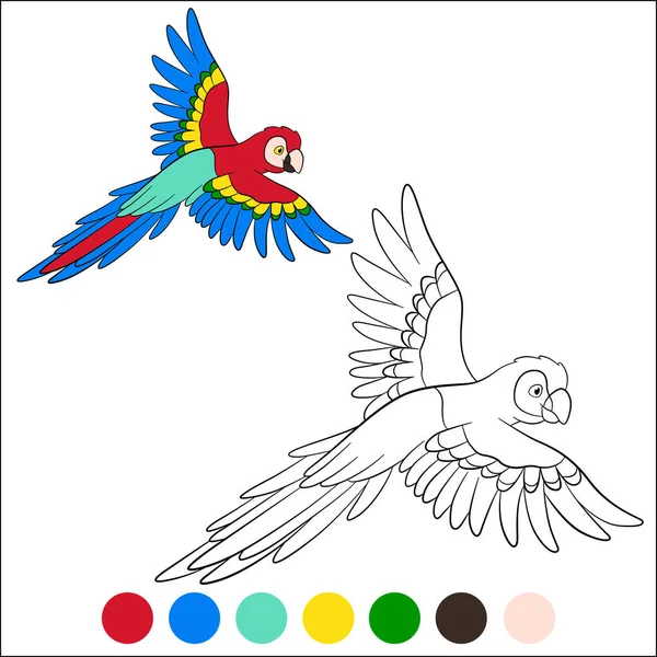 Dibujo Para Colorear Pájaros Lindo Loro Feliz Guacamayo Rojo Moscas Gráficos vectoriales