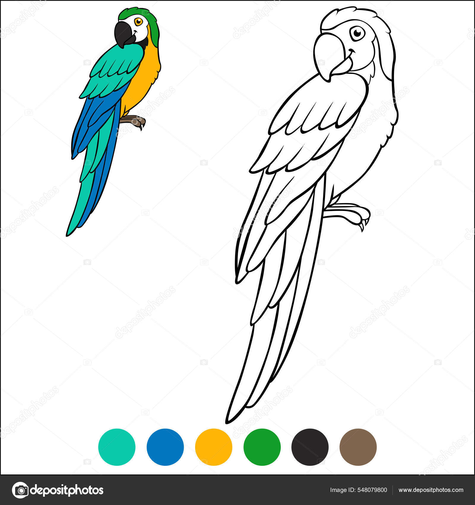 Desenho de Papagaio feliz para Colorir - Colorir.com