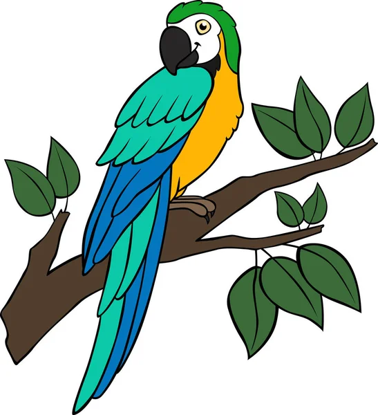 Cartoon Birds Parrot Yellow Macaw Sits Tree Branch Smiles — Stock Vector
