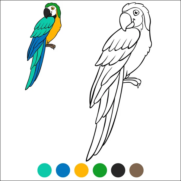 Kolorowanki Strony Ptaków Słodkie Szczęśliwy Papuga Czerwony Macaw Siedzi Uśmiecha — Wektor stockowy