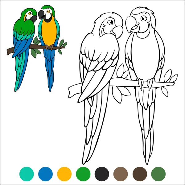 Dibujo Para Colorear Pájaros Par Lindos Loros Guacamayo Amarillo Sienta — Archivo Imágenes Vectoriales