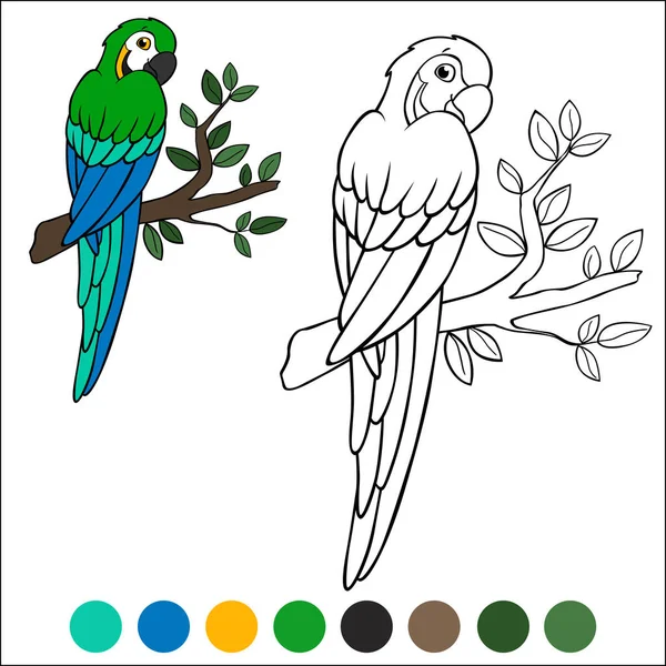 Coloriage Oiseaux Joyeux Perroquet Jaune Aras Assis Sur Branche Sourit — Image vectorielle