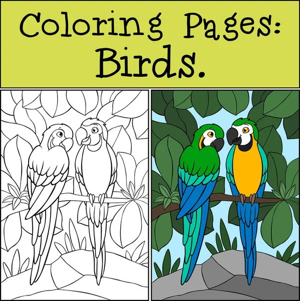 Página Para Colorear Con Ejemplo Par Lindos Loros Guacamayo Amarillo — Vector de stock