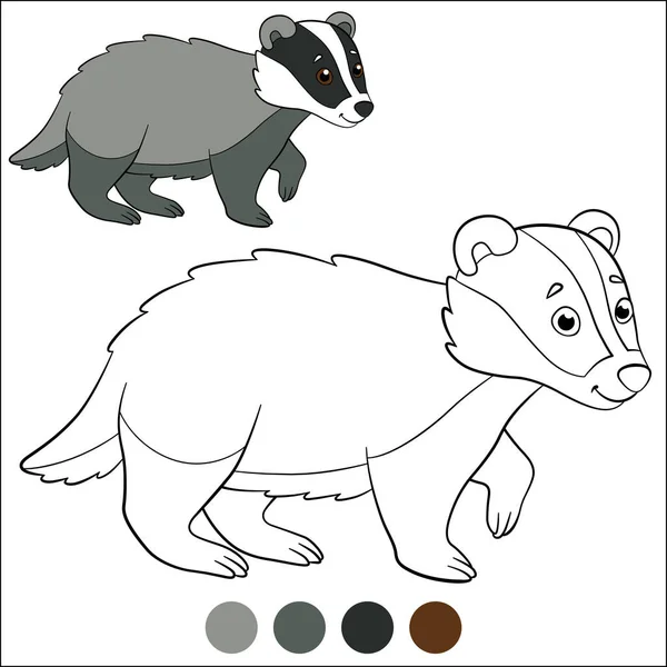 给我颜色 野生动物 小可爱的灰獾站在那里笑着 — 图库矢量图片