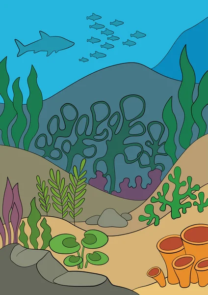 Подводный Пейзаж Дне Камни Различные Водоросли Растут Рыба Другие Морские — стоковый вектор