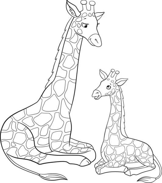 Coloring Page Mother Giraffe Long Neck Lays Her Little Cute — Stock Vector