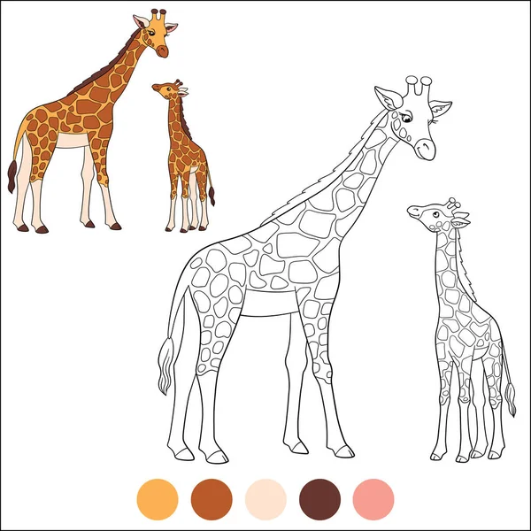 Kleur Wilde Dieren Moeder Giraffe Staat Met Haar Kleine Schattige — Stockvector