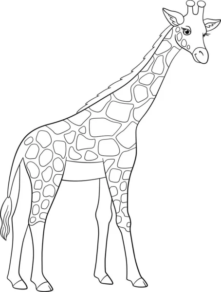 Omalovánky Velká Skvrnitá Žirafa Dlouhým Krkem Úsměvy — Stockový vektor