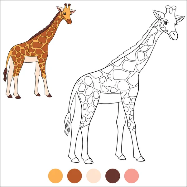 Vybarvte Divoká Zvířata Velká Skvrnitá Žirafa Dlouhým Krkem Úsměvy — Stockový vektor