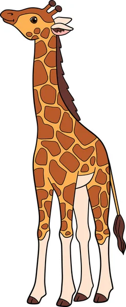 Kreslená Divoká Zvířata Malá Roztomilá Dětská Žirafa Dlouhým Krku Stojany — Stockový vektor