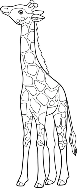 Omalovánky Malý Roztomilý Tečkovaný Dítě Žirafa Dlouhým Krku Stojany Úsměvy — Stockový vektor