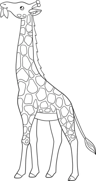Kolorowanki Duża Żyrafa Długimi Stojakami Szyję Jedzą Liście — Wektor stockowy