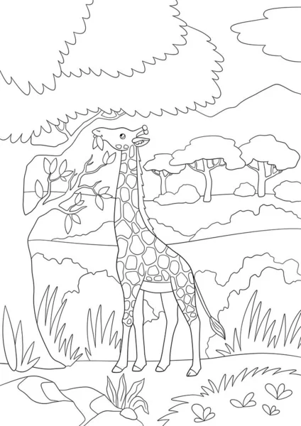 Розмальовка Сторінка Великий Плямистий Жираф Довгою Шиєю Стоїть Їсть Листя — стоковий вектор