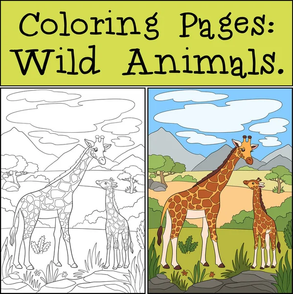 Renkli Sayfalar Vahşi Hayvanlar Anne Zürafa Küçük Şirin Benekli Zürafasıyla Stok Vektör