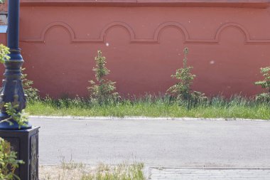 Noel ağaçlarının yanındaki binanın kırmızı duvarı büyür..