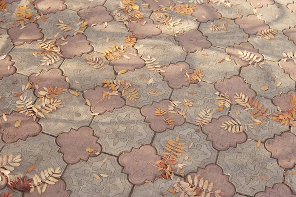 秋の公園の石畳の上に落ち葉が横たわっています — ストック写真