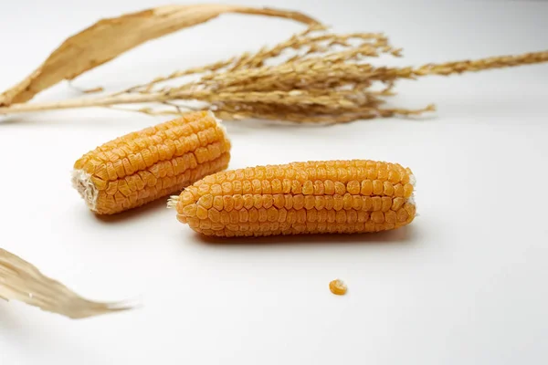 Вуха Жовтого Смачної Кукурудзи Білому Фоні Концепція Харчування — стокове фото