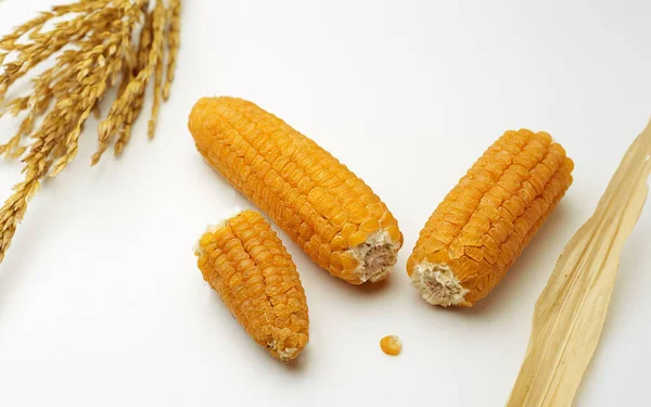 Gelbe Maiskolben Trockensaatgutkonzept Diät Richtige Ernährung — Stockfoto