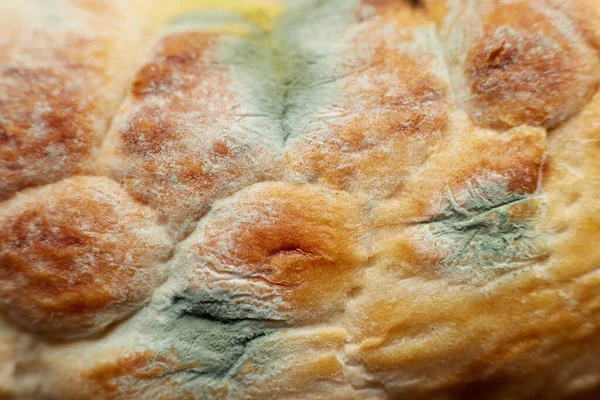 Bread covered with mold inedible is dangerous to health close-up.