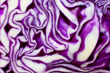 Kırmızı lahana yakın çekim, bölüm güzel desen.