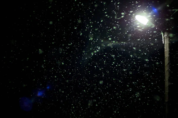 Nocy Pada Śnieg Oświetlony Światłem Latarni Śnieg Błyszczy Robi Piękny — Zdjęcie stockowe