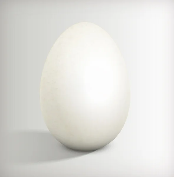 Abstrato de ovo —  Vetores de Stock