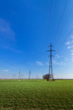 Elektrik hattı yaz manzarası. Işığı ve evdeki ısıyı taşıyan destek kablolarının üstünden geçiyor.