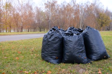 Sonbahar yapraklarıyla dolu siyah plastik torbalar. Kurumuş yaprakları dökülmüş büyük siyah plastik çöp torbaları çimlerin üzerinde duruyor. Şehir sokaklarının yapraklarından mevsimsel olarak temizlenmesi. Temizlik servisi.
