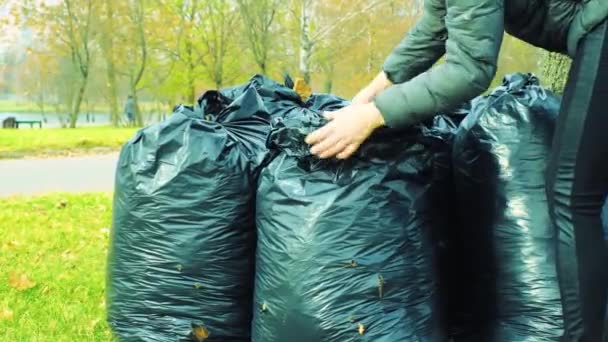 Czarne plastikowe torby pełne jesiennych liści. Na trawie stoją duże, czarne plastikowe worki na śmieci z opadniętymi liśćmi. Sezonowe czyszczenie ulic miasta z opadłych liści. Usługi sprzątania — Wideo stockowe
