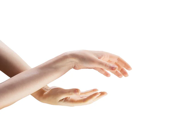 Duas Belas Mãos Femininas Conectam Umas Outras Fundo Branco — Fotografia de Stock