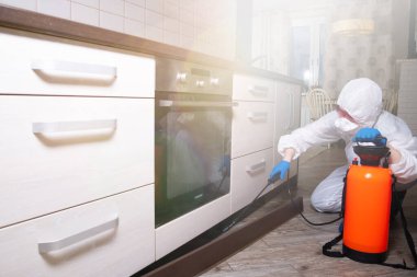 İş kıyafetleri içindeki bir ilaçlayıcı böcek ilaçlarını sprey tabancayla püskürtür. Evlerde ve evlerde böceklerle savaşın. Arazinin diseksiyonu.