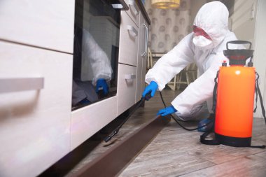 İş kıyafetleri içindeki bir ilaçlayıcı böcek ilaçlarını sprey tabancayla püskürtür. Evlerde ve evlerde böceklerle savaşın. Arazinin diseksiyonu