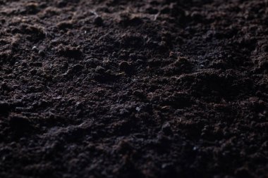 Tarım için temiz toprak. Saksı toprağı ya da turba bahçıvanlık için uygundur ve dört doğal elementten biridir. Toprak, gezegenimiz Dünya için yaşamdır. Seçici Odaklanma