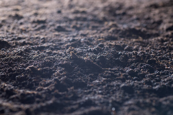 Clean soil for cultivation. The potting soil or peat is suitable for gardening and is one of the four natural elements. The land is life for our planet earth. Selective Focus