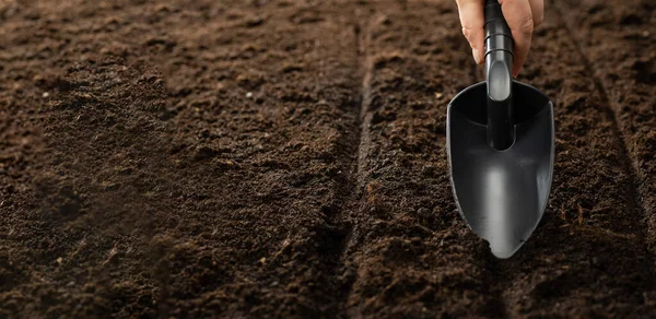 Farmer Sets Seed Beds Gardening Tool Sowing Seeds Open Ground Stock Image