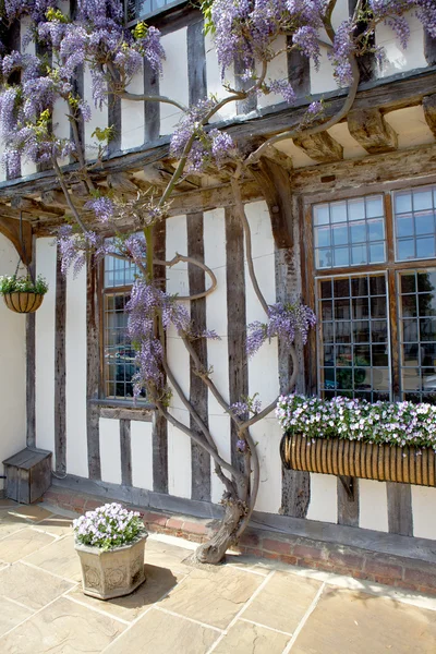 紫藤半砖木结构中世纪小屋. — 图库照片
